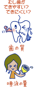 虫歯に なりやすい人、 なりやすい年齢、なりやすい場所 虫歯に なりやすい人、 なりやすい年齢、なりやすい場所